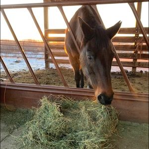 Meet your Posher, Hailey